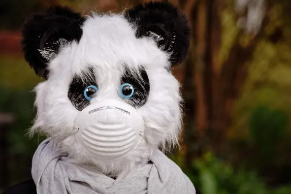 TopBet Kazino Pagalba